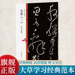 历代法帖风格类编 大草（二） 张旭怀素草书书书法临摹教学书法碑帖技法临摹鉴赏书籍学习大草书的经典范本书法教材推荐用书