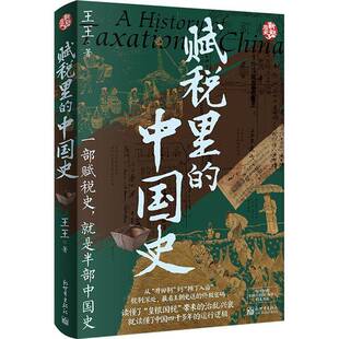 赋税里的中国史王王新世界出版社