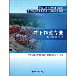 井下作业专业：酸化压裂部分秦文贵石油大学出版 社