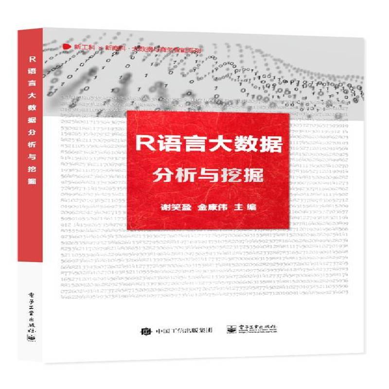 R语言大数据分析与挖掘谢笑盈电子工业出版社