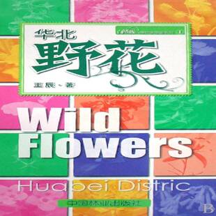 华北野花王辰中国林业出版 社