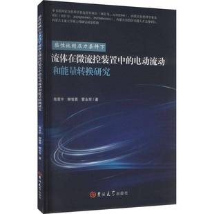 黏性依赖压力条件下流体在微流控装置中的电动流动和能量转换研究陈星宇吉林大学出版社