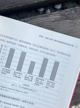 嫉妒与鄙视:社会比较心理学:how status divides us苏珊·菲斯克机械工业出版社
