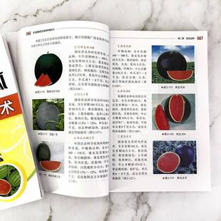 彩色图解西瓜种植技术贾文海化学工业出版社