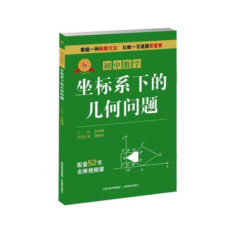 专项突破:初中数学:坐标系下的几何问题王中峰山西教育出版社