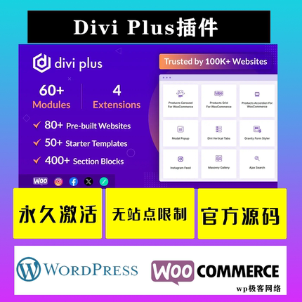Divi Plus 汉化中文版 Divi主题扩展功能模板包WordPress插件