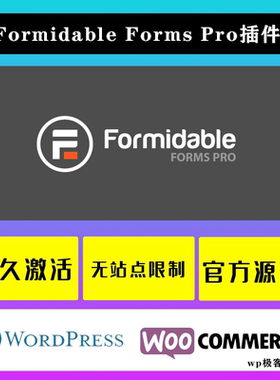 Formidable Forms Pro WP插件 表单生成插件和在线应用程序生成器