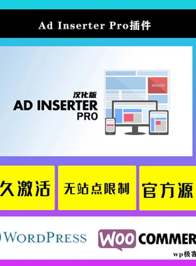 Ad Inserter Pro WP插件 中文版 高级自定义广告管理插件