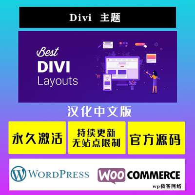 Divi 中文版 WP主题 Wordpress 自定义设计网站模板终身更新
