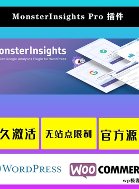 MonsterInsights Pro WP插件 Google Analytics统计分析插件
