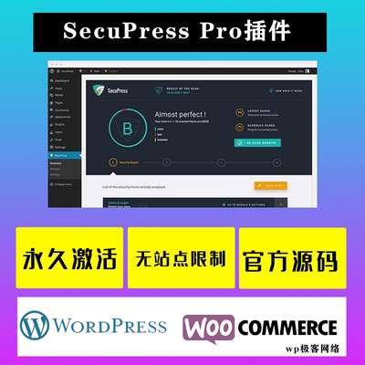 SecuPress Pro WP插件 中文版 漏洞扫描及安全防火墙插件