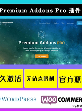 Premium Addons Pro 中文版 Elementor 附属扩展小工具插件