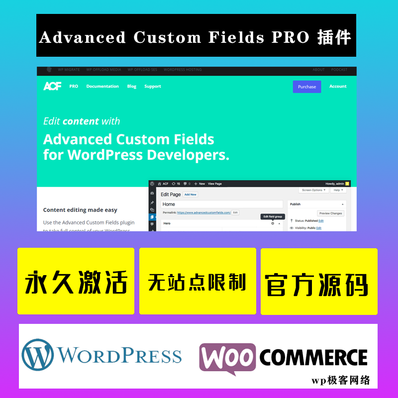 Advanced Custom Fields PRO WP插件 中文版 强大专业直观的字段