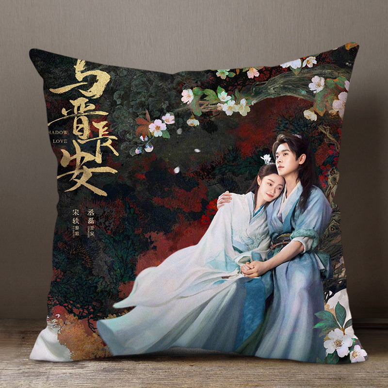 与晋长安同款丞磊宋轶应援抱枕