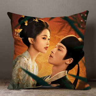 白鹿王星越应援唐宫奇案周边抱枕被定制明星海报大抱枕靠垫含枕芯