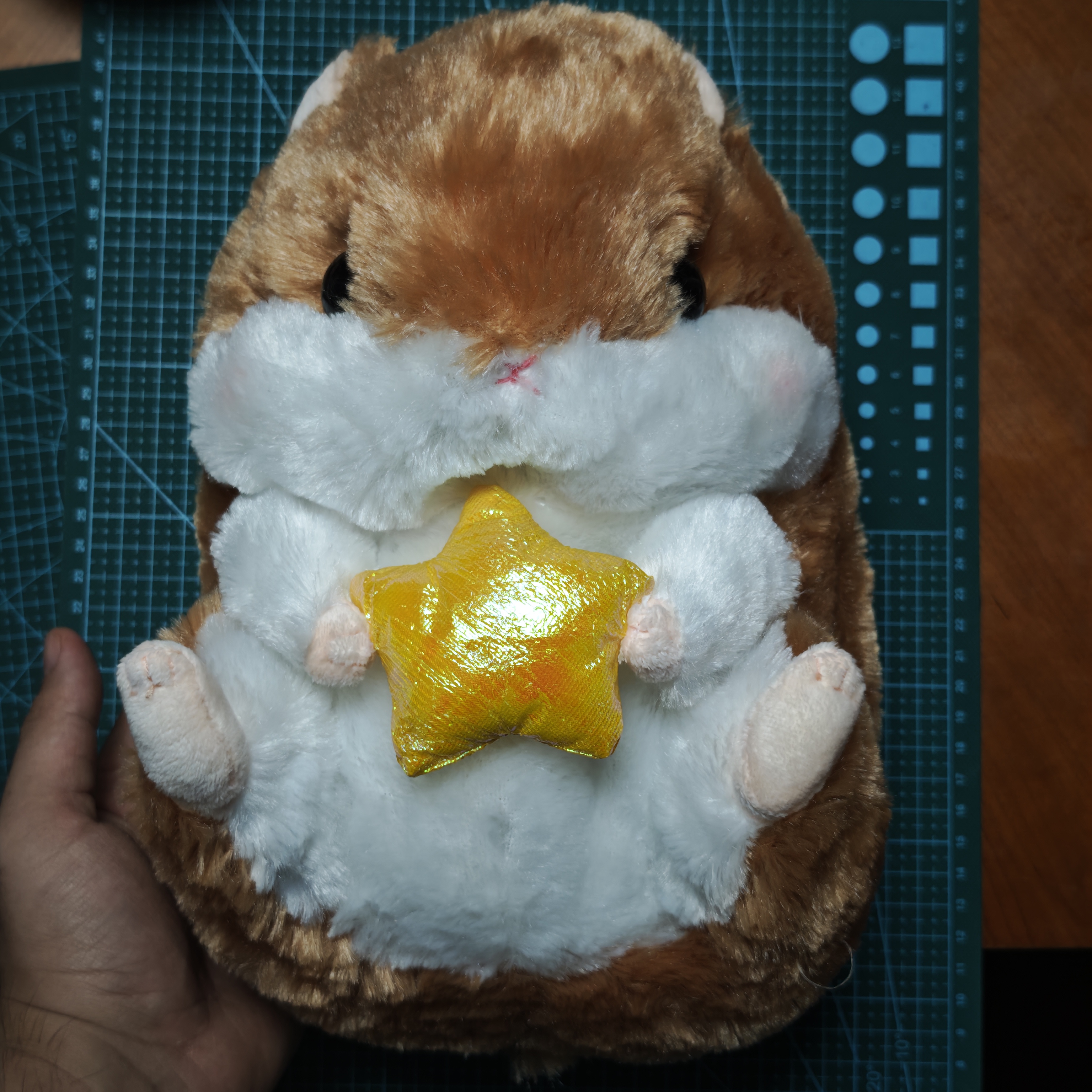 amuse毛绒玩具娃娃玩偶大号coroham coron仓鼠抱星星促销现货