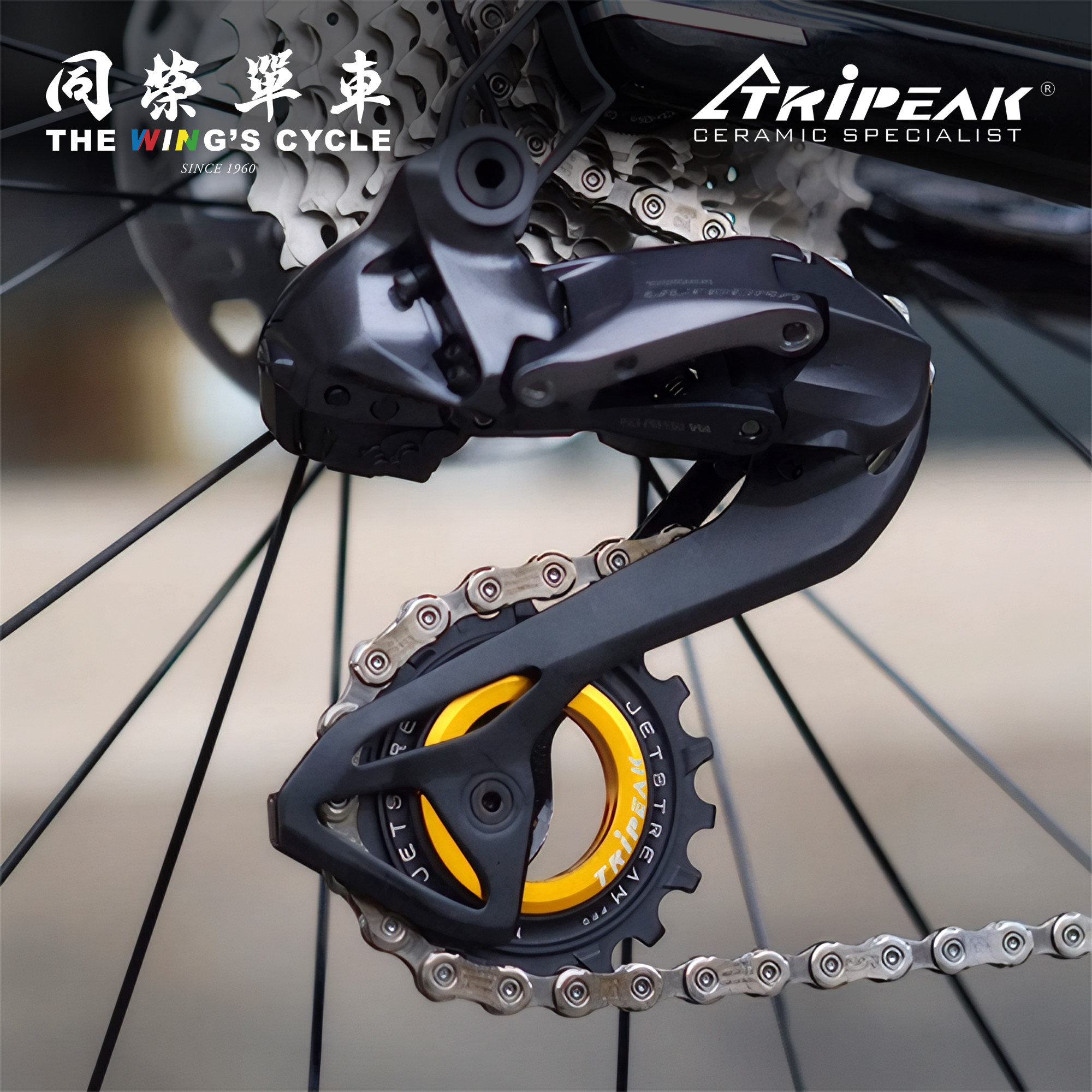 TRIPEAK AOPW公路自行车后拨大导轮11/12速R70/80/71/81/91/92