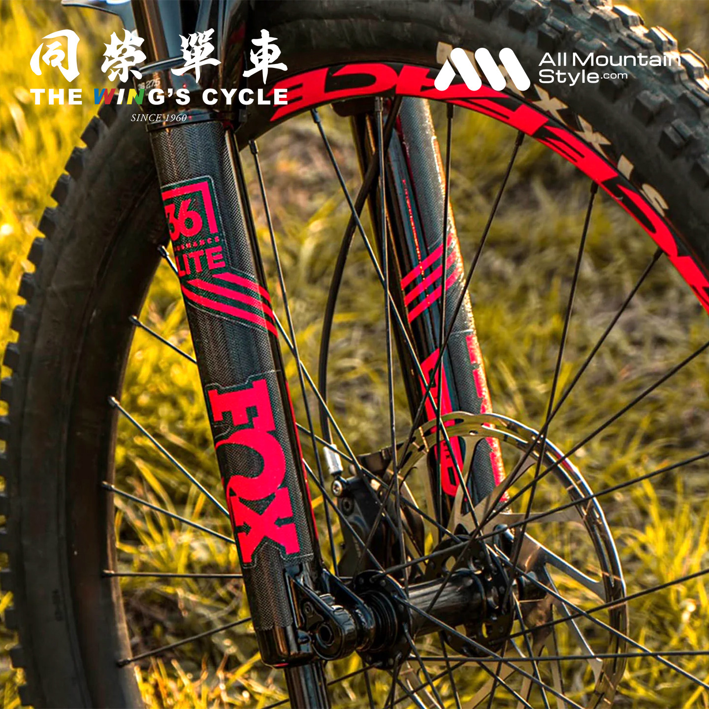 AMS蜂巢状前叉保护贴山地自行车通用防刮擦耐磨超轻贴纸