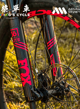 AMS蜂巢状前叉保护贴山地自行车通用防刮擦耐磨超轻贴纸