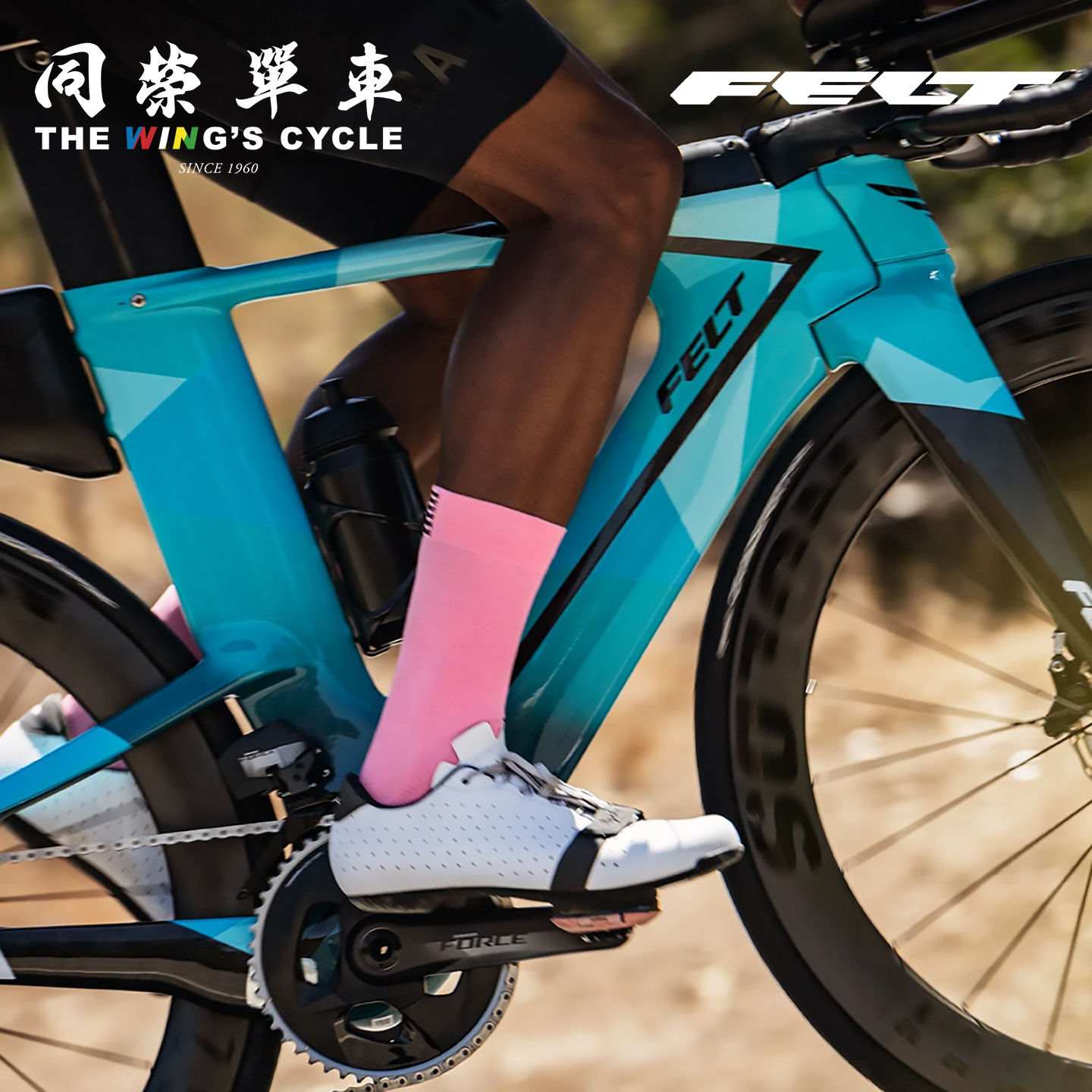 Felt碳纤维碟刹铁三车