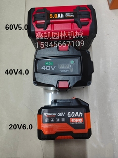 中坚伐木者锂电锯电池 充电器原装正品60V锂电池  40V 20V锂电池