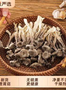 【老菇婆】干货鹿茸菌脆脆菇无硫无碎无沙新鲜煲汤食材蘑菇
