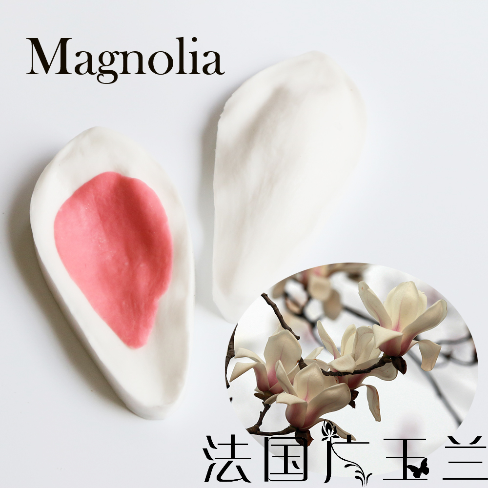 法国花瓣仿真模具sk同款