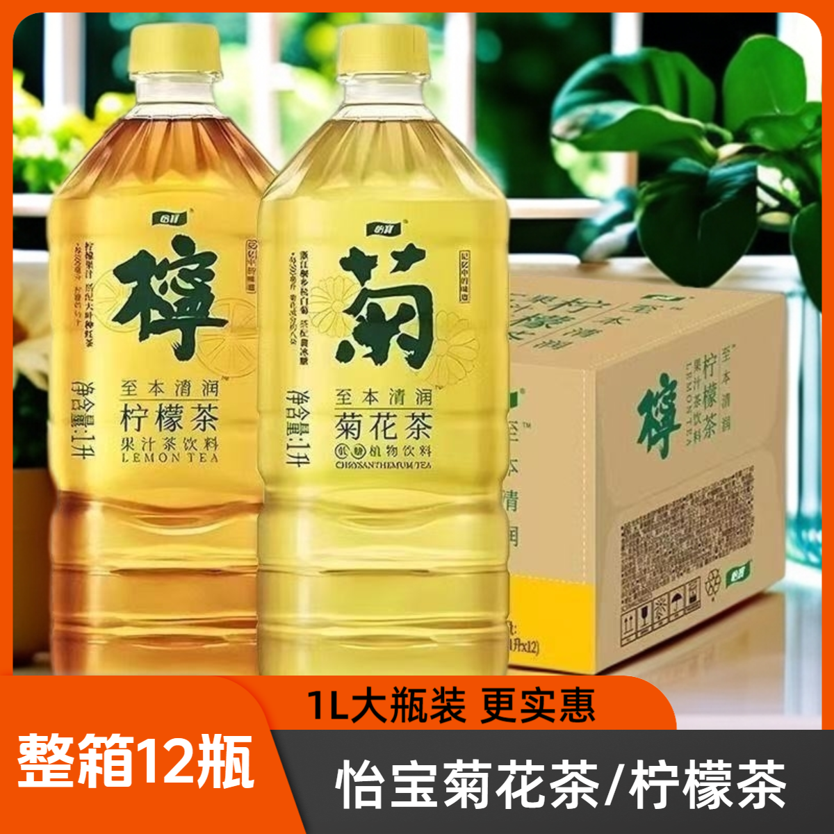 【1L*12瓶整箱】怡宝菊花茶植物饮料柠檬茶夏季解渴饮料大瓶新货