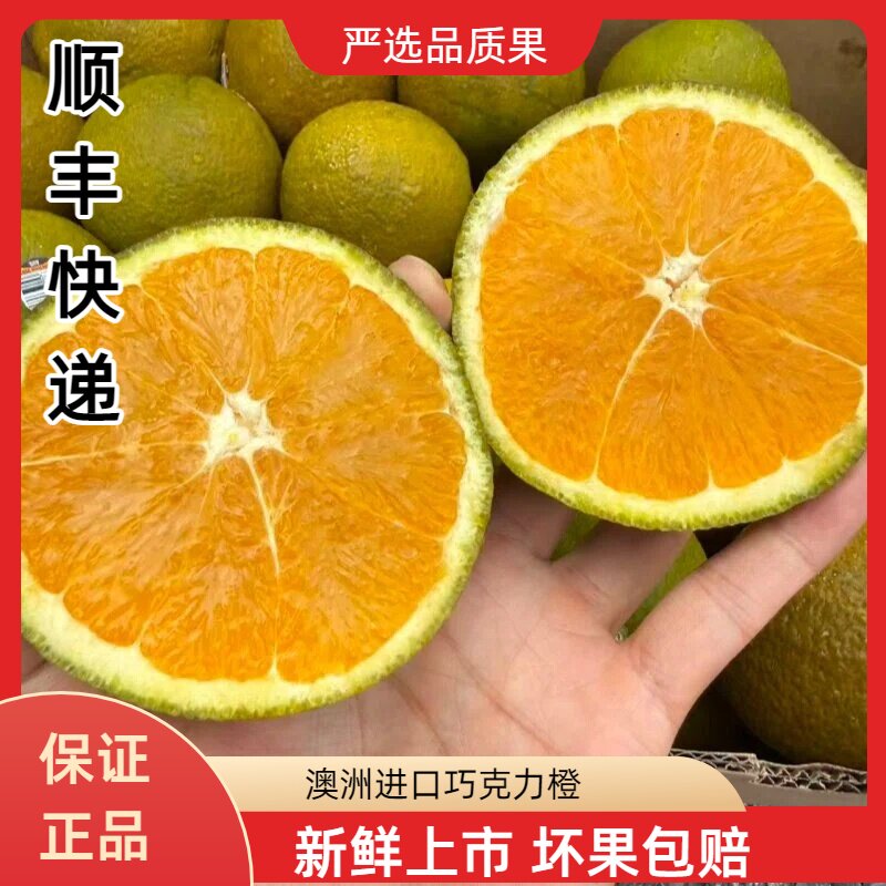 澳洲进口黑巧克力橙鲜甜多汁