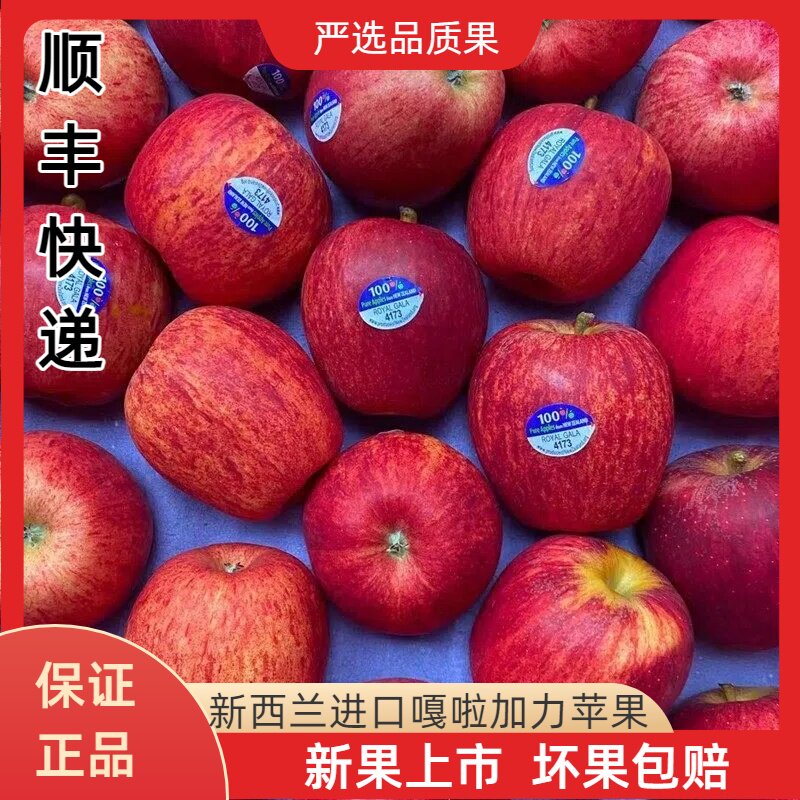 新西兰进口嘎啦果苹果水果当季新鲜姬娜苹果加力果加丽果顺丰