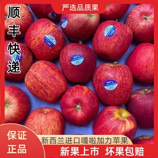 新西兰进口嘎啦果苹果水果当季新鲜姬娜苹果加力果加丽果顺丰