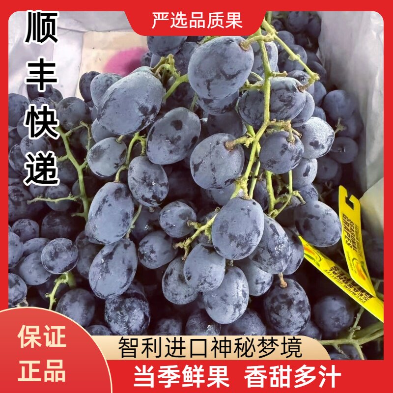智利神秘梦境黑提葡萄蓝宝石当季时令进口新鲜水果顺丰快递