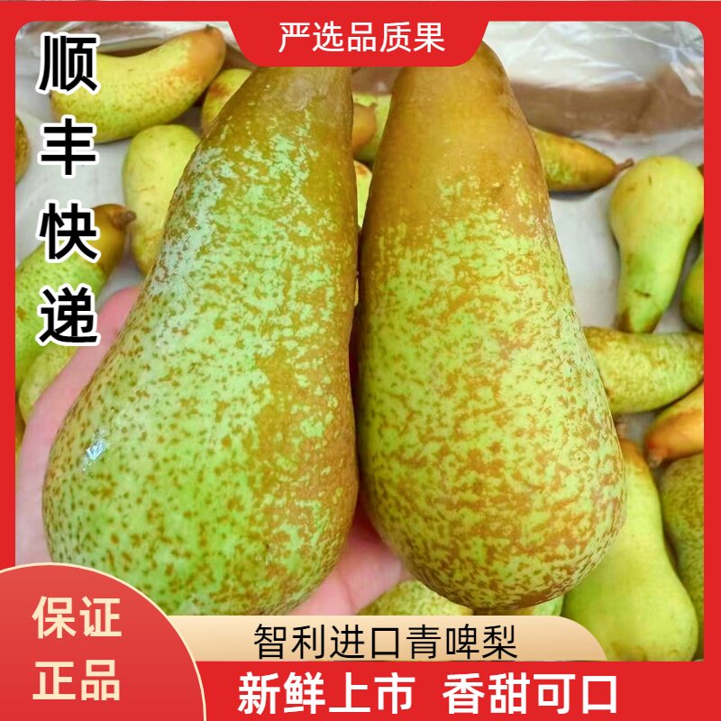 智利啤梨进口啤梨大果4斤软糯香甜青啤梨当季新鲜水果顺丰快递