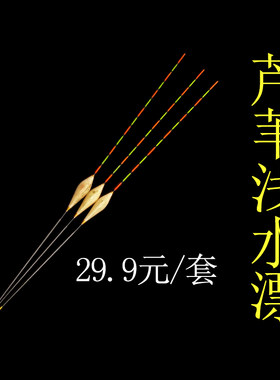 竞技短脚浅水芦苇浮漂打快