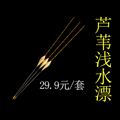 竞技短脚浅水芦苇浮漂打快