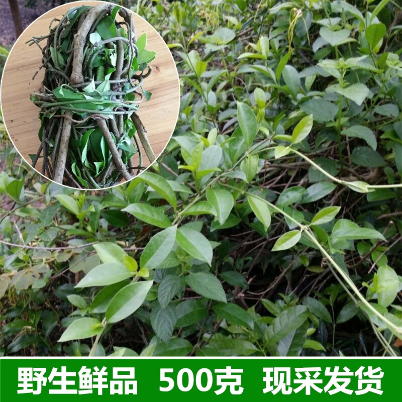 白叶藤 对面笑 扛棺回 藤羊角扭 细羊角扭 铁边 脱皮藤500克鲜品