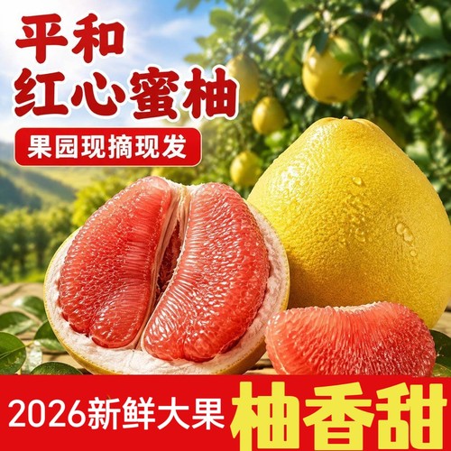 中秋礼发顺丰福建平和琯溪红心蜜柚红柚红肉薄皮三红柚子应季水果