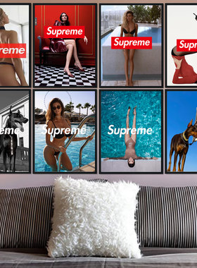 supreme潮牌欧美风性感美女挂画