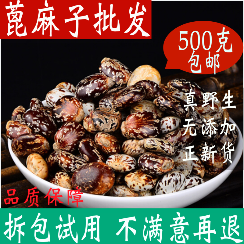 新鲜蓖麻子包邮干货蓖麻籽500g中药材红大麻子 蓖麻仁 店铺品种多