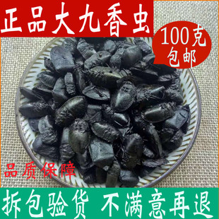 蜣螂虫屁巴虫中草药齐全 打屁虫黑兜虫 九香虫中药材店铺100克 包邮