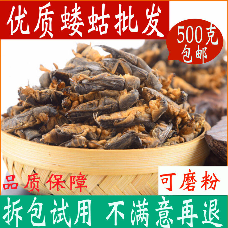 蝼蛄干中药材店铺500克土狗子 免邮 土狗 地狗 蝼蛄粉中草药大全