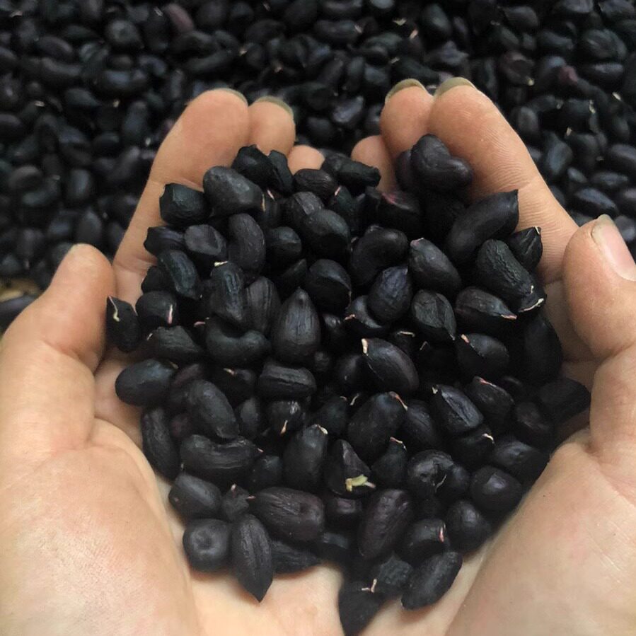 云南镇沅黑皮花生米黑花生米粒可即食油炸吃500g包邮
