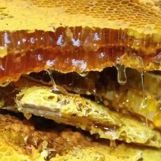 木桶土蜂蜜天然野生蜂蜜农家自产云南百花蜜黄色1000g玻璃瓶装