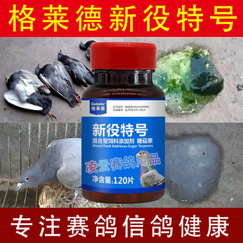 格莱德甩拉吐鸽药信鸽子药品大全新疫特号绿便缩头赛鸽清专用