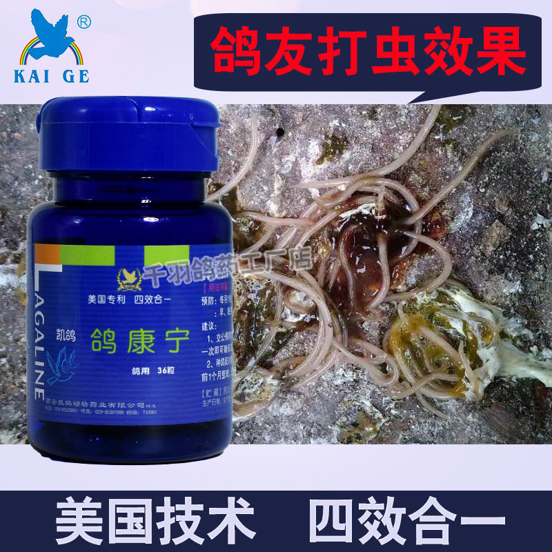 鸽药凯鸽信鸽子药大全鸽康宁打虫驱虫体内外寄生虫肠虫净常见病