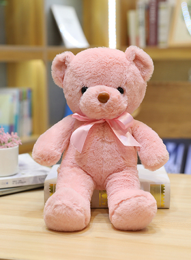 泰迪熊小熊公仔毛绒玩具毕业礼物礼品玩偶抱抱熊婚庆娃娃定制LOGO