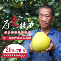 正宗江永香柚湖南永州特产纯甜老树沙田柚非梅州容县沙田柚20斤