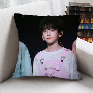 TF家族智恩涵周边抱枕定制男女生日礼物靠垫明星周边同款靠枕沙发