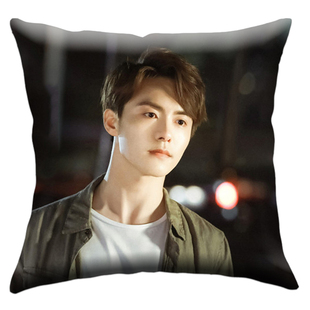 马天宇抱枕定制双面毛绒男孩我的莫格利靠垫杨紫同款明星周边靠枕