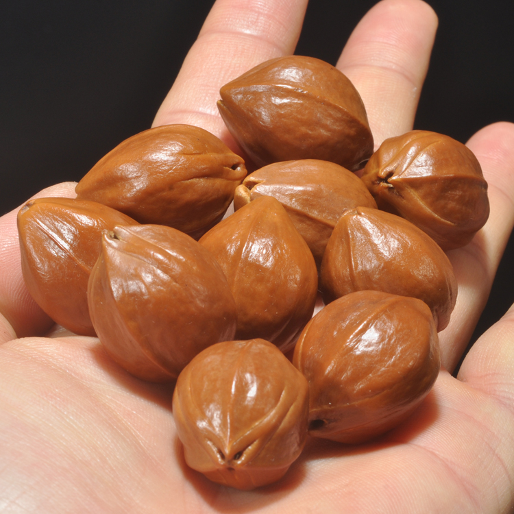 鲨鱼背鹰嘴铁核梅林铁核